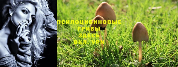 твердый Абаза