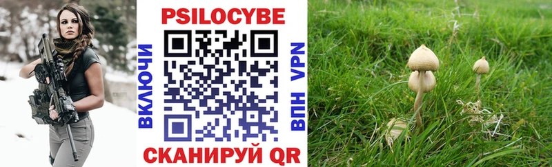 Галлюциногенные грибы мицелий Кашира