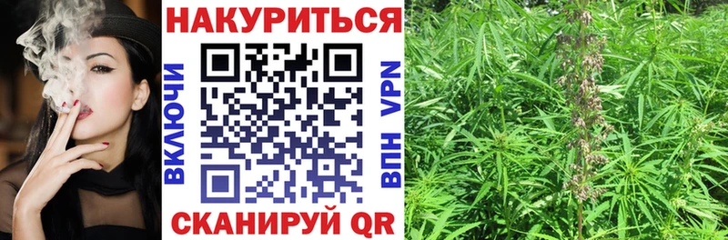 где можно купить наркотик  Кашира  Шишки марихуана конопля 